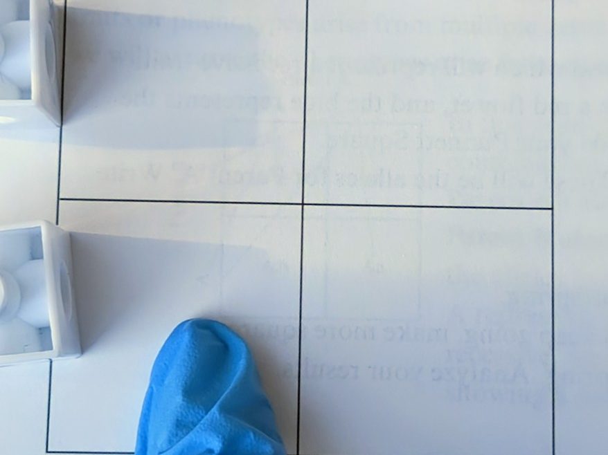 10th Grade Biology Experiment: Learning About Genes with a Punnett Square